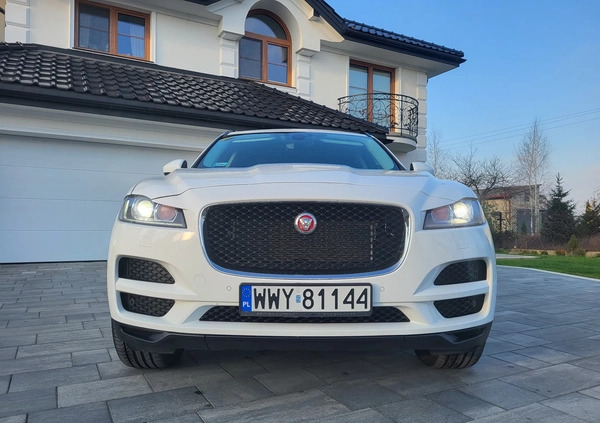 Jaguar F-Pace cena 169500 przebieg: 17500, rok produkcji 2020 z Wyszków małe 742